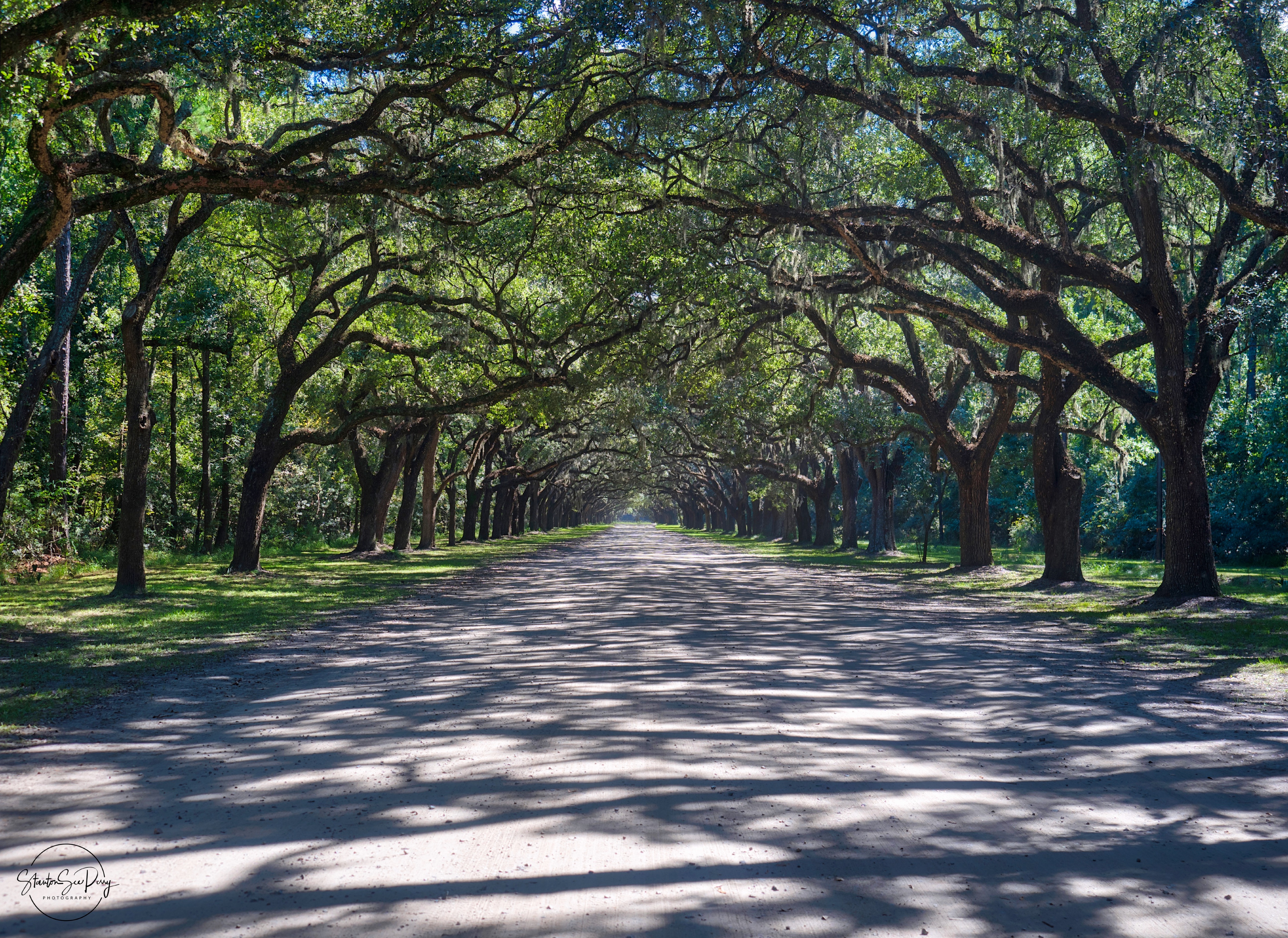 Wormsloe Plantation